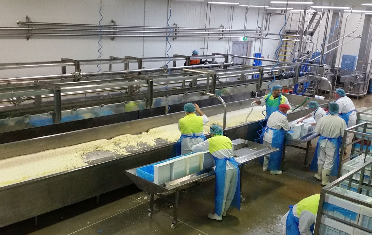 Automation equipment for cheese making