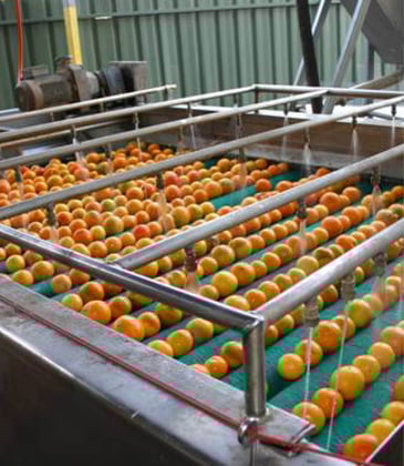 Manufacturing fire recovery for oranges