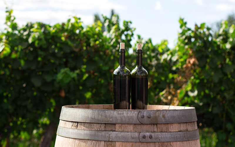 Ignition Software For Wineries