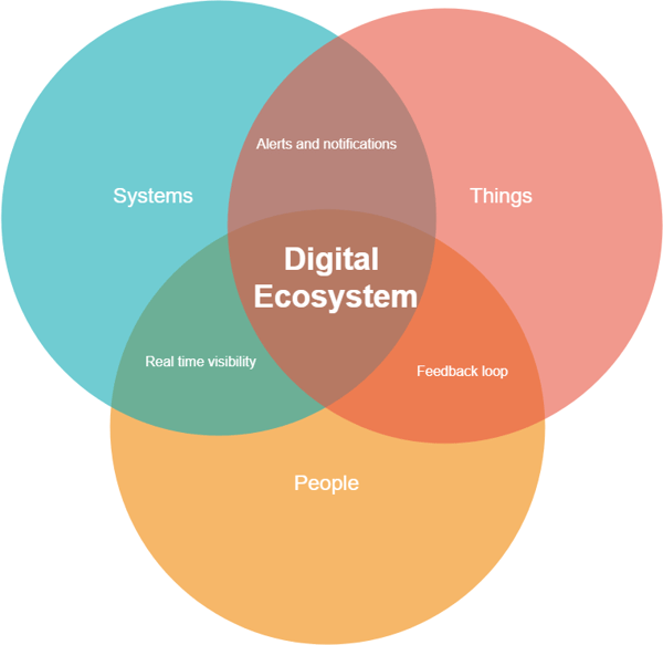 Digital ecosystem