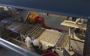 Biscuit production optimised after control system upgrade