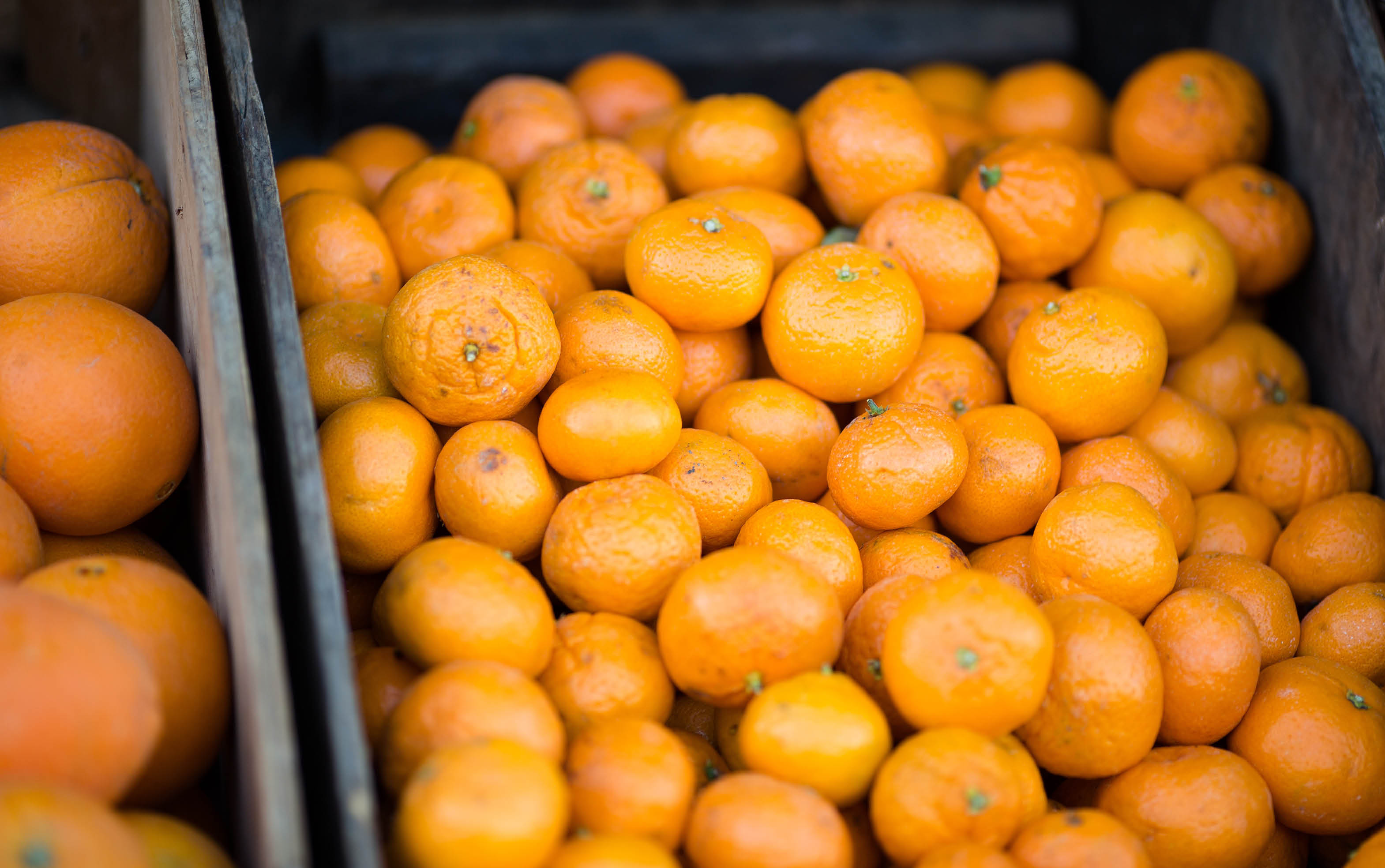 SAGE gets Mildura Fruit Juices back in shape post-fire