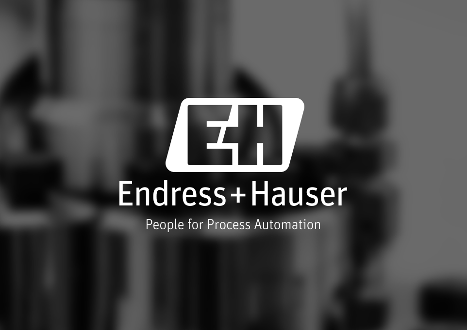 Endress+Hauser integration partner